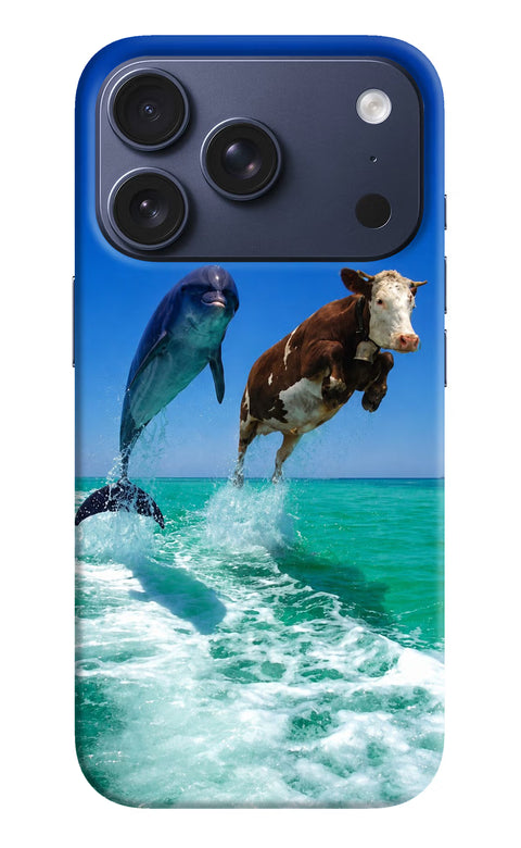 Dolphin vs Cow iPhone 17 Pro Back Cover
