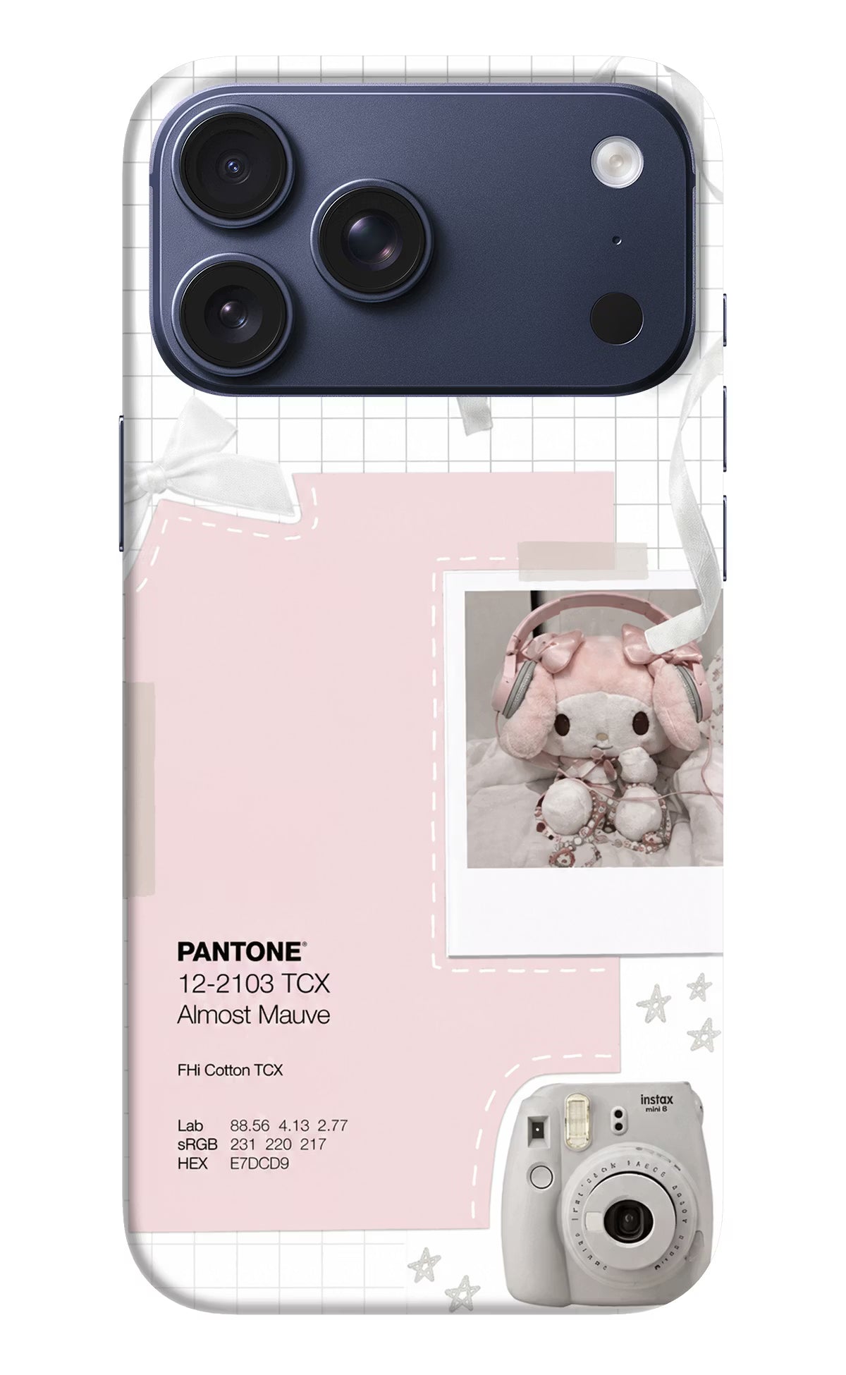 Pantone Asthetic iPhone 17 Pro Max Back Cover