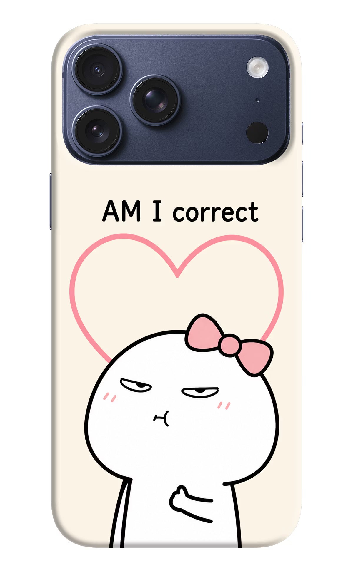 Always Right iPhone 17 Pro Max Back Cover