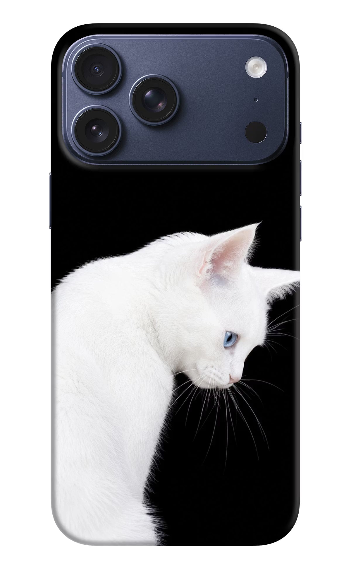 Snow Gaze iPhone 17 Pro Max Back Cover