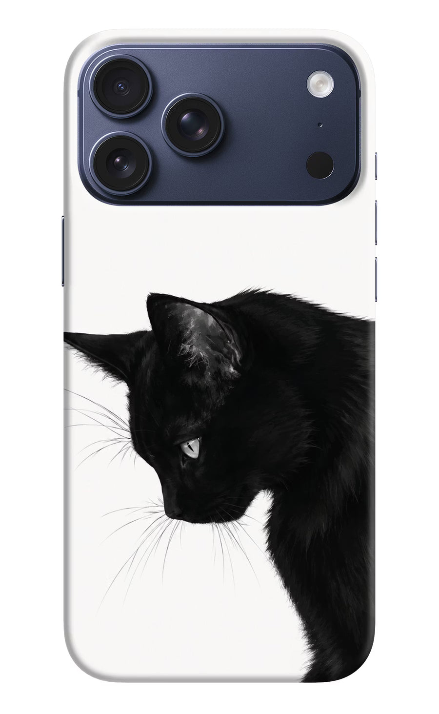 Shadow Gaze iPhone 17 Pro Max Back Cover, Hard case