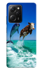 Dolphin vs Cow Poco X5 Pro 5G Hard Case Back Cover by Casekaro