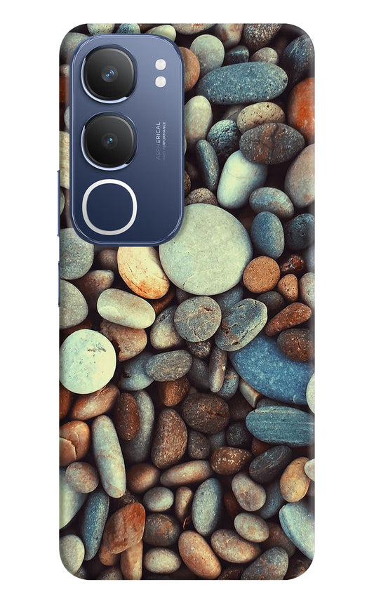 Pebble Vivo Y29 5G Hard Case Back Cover by Casekaro