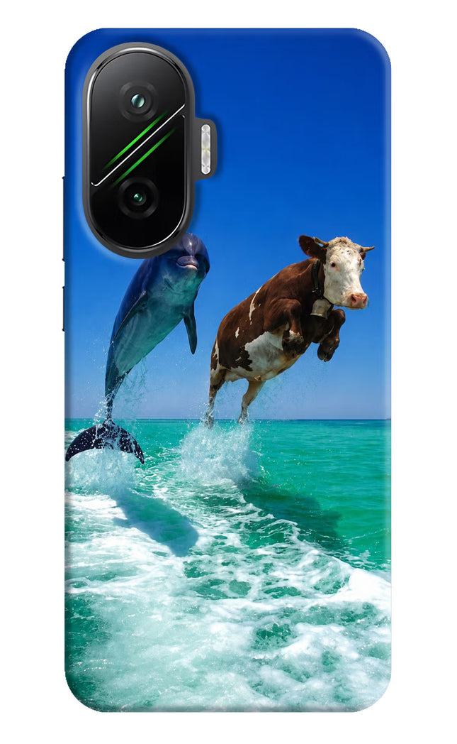 Dolphin vs Cow Poco F7 5G Hard Case Back Cover by Casekaro