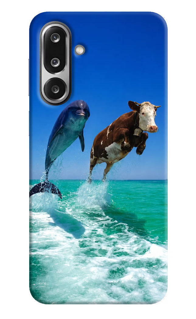 Dolphin vs Cow Samsung F36 5G Hard Case Back Cover by Casekaro