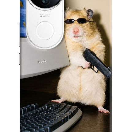 Hacker Hamster iQOO Z10R 5G Hard Case Back Cover by Casekaro