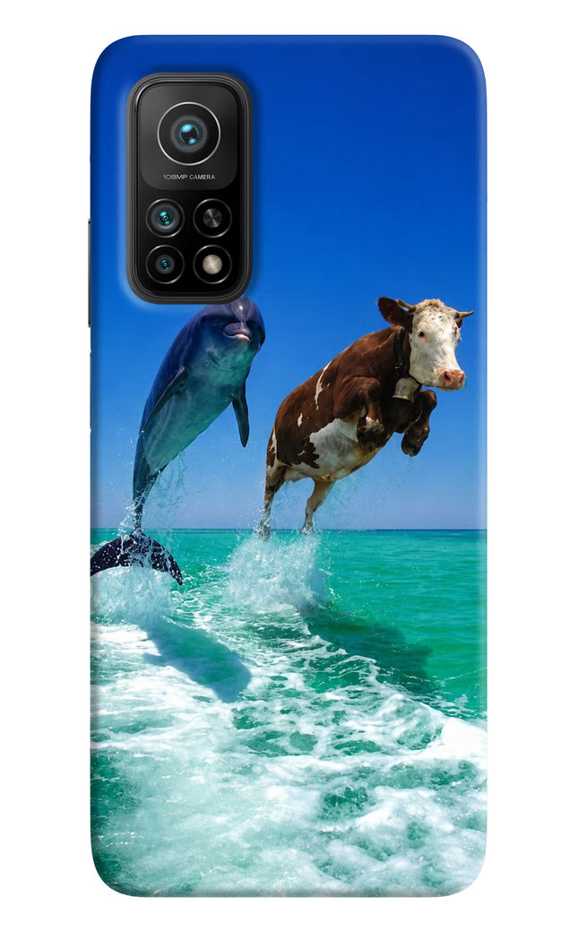 Dolphin vs Cow Mi 10T Pro Hard Case Back Cover by Casekaro