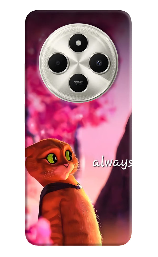 Always Cat Poco C75 5G Hard Case Back Cover by Casekaro