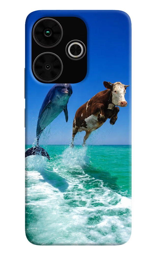Dolphin vs Cow Poco M6 Plus 5G Hard Case Back Cover by Casekaro