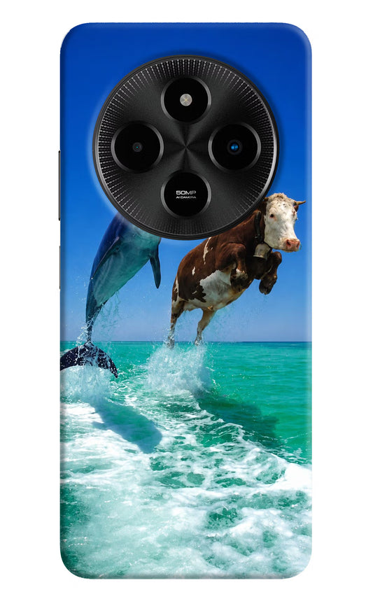 Dolphin vs Cow Poco M7 5G Hard Case Back Cover by Casekaro