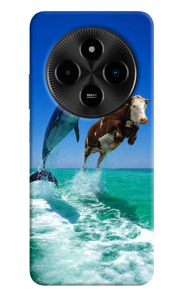 Dolphin vs Cow Poco M7 5G Hard Case Back Cover by Casekaro