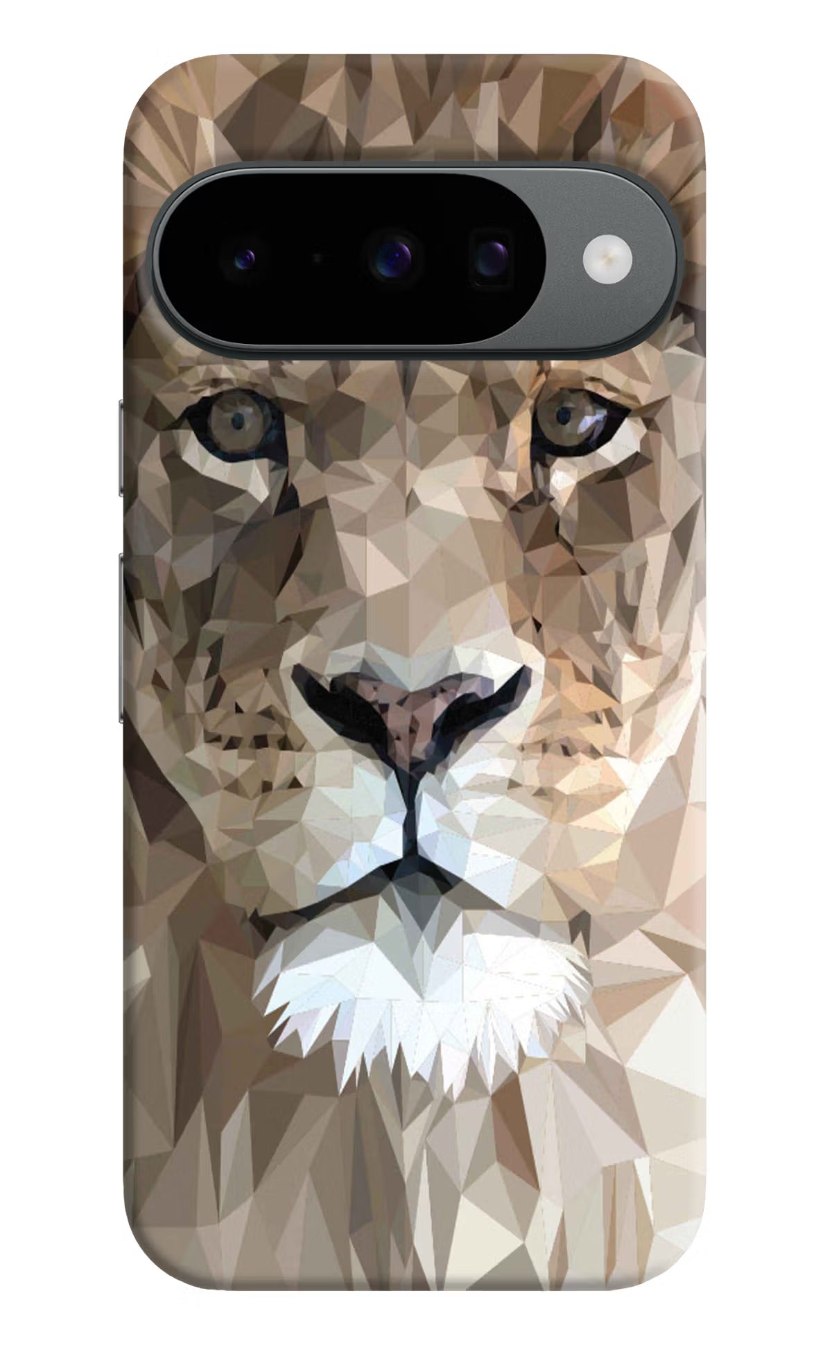 Lion Art Google Pixel 10 Hard Case Back Cover by Casekaro
