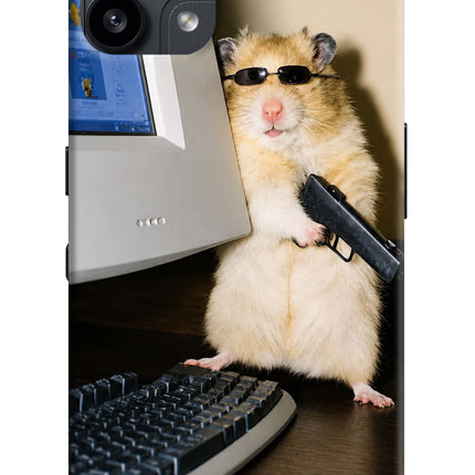 Hacker Hamster Nothing Phone 3A Lite Hard Case Back Cover by Casekaro