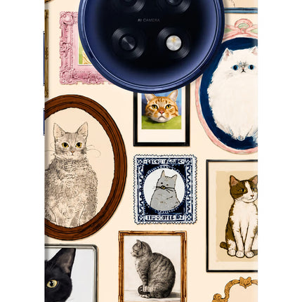 Mirror Cats Oppo F31 Pro Plus 5G Hard Case Back Cover by Casekaro