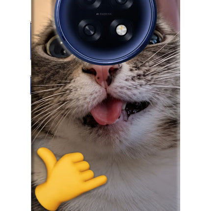 Silly Cat Call Oppo F31 Pro Plus 5G Hard Case Back Cover by Casekaro