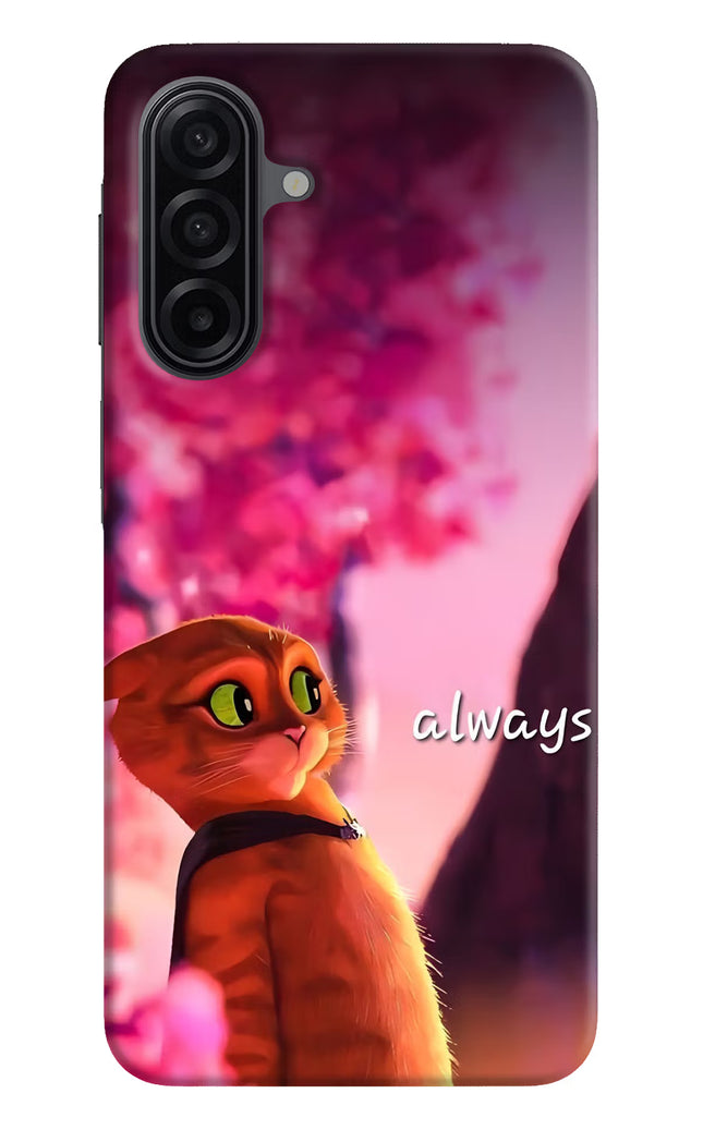 Always Cat Samsung A17 5G Hard Case Back Cover by Casekaro