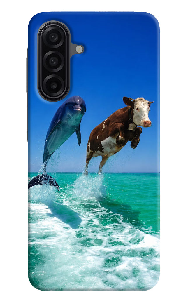 Dolphin vs Cow Samsung A17 5G Hard Case Back Cover by Casekaro
