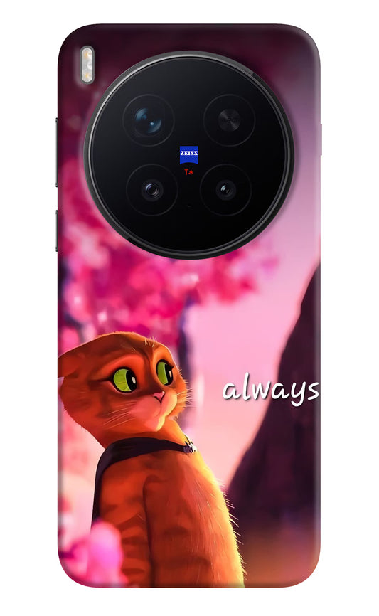 Always Cat Vivo X300 Pro Hard Case Back Cover by Casekaro
