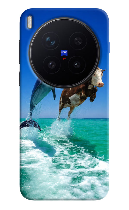 Dolphin vs Cow Vivo X300 Pro Hard Case Back Cover by Casekaro