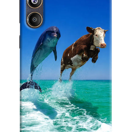 Dolphin vs Cow Samsung F55 5G Hard Case Back Cover by Casekaro