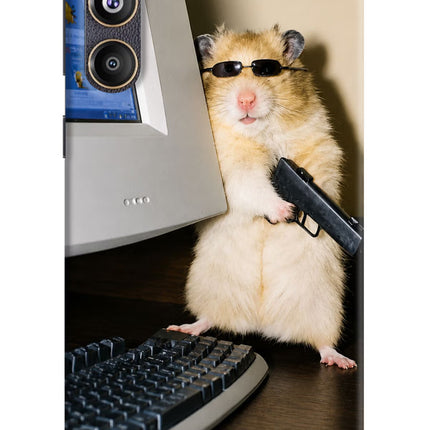 Hacker Hamster Samsung F55 5G Hard Case Back Cover by Casekaro