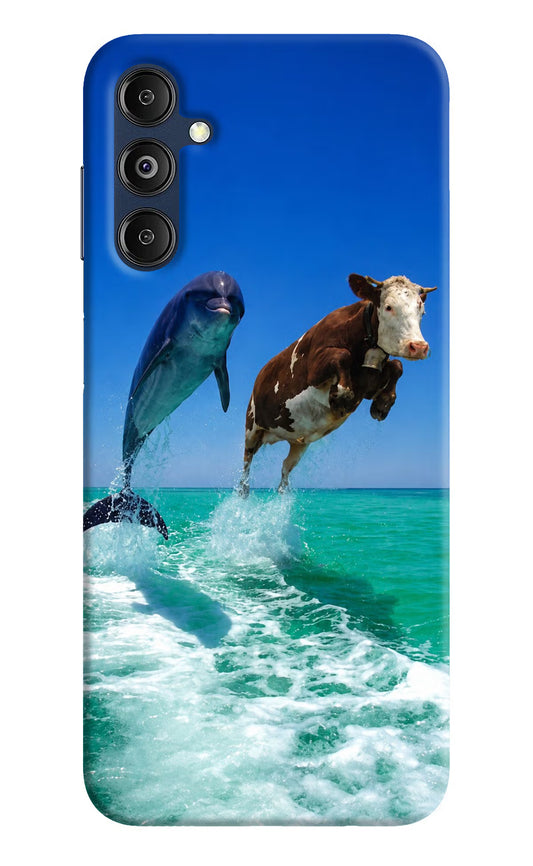 Dolphin vs Cow Samsung M14 5G Hard Case Back Cover by Casekaro