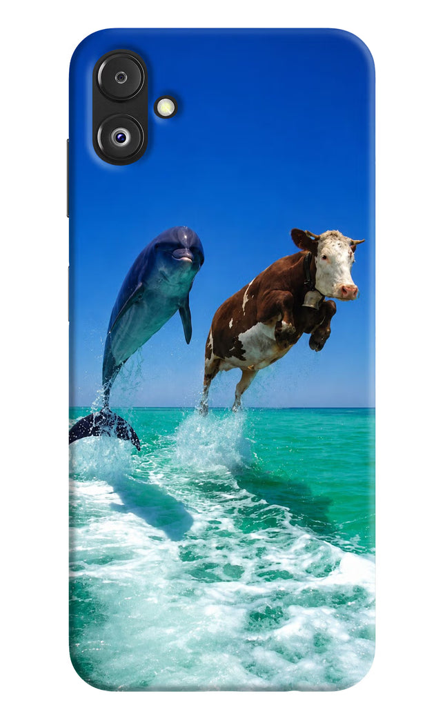 Dolphin vs Cow Samsung F14 5G Hard Case Back Cover by Casekaro