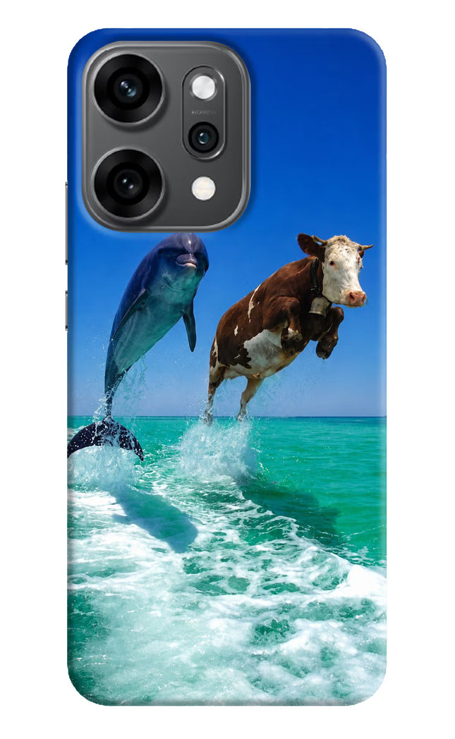 Dolphin vs Cow Oppo Reno14 Pro 5G Hard Case Back Cover by Casekaro