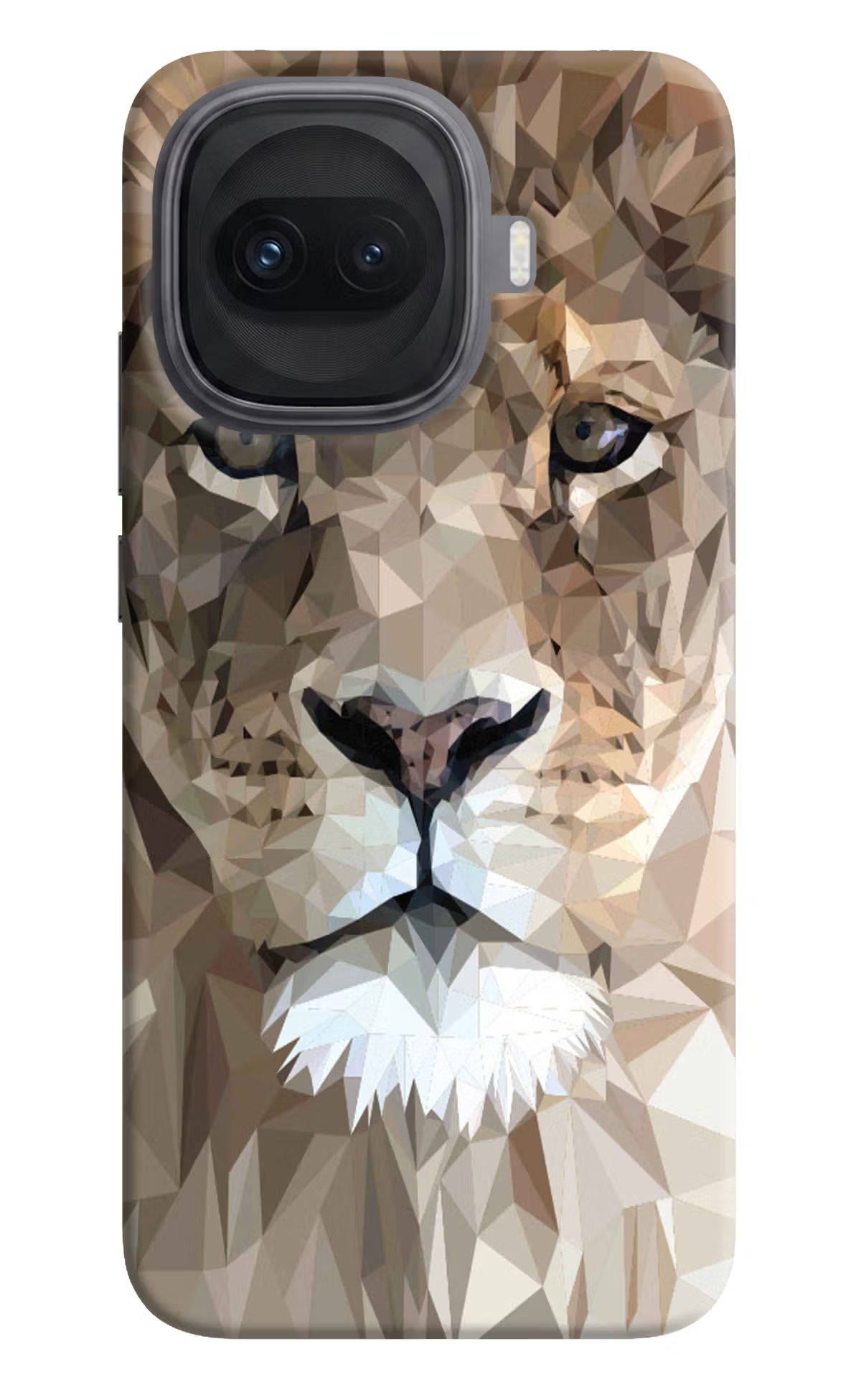 Lion Art iQOO 15R 5G Hard Case Back Cover by Casekaro