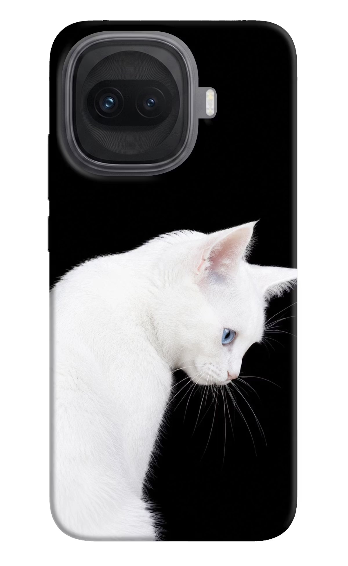 Snow Gaze iQOO 15R 5G Back Cover