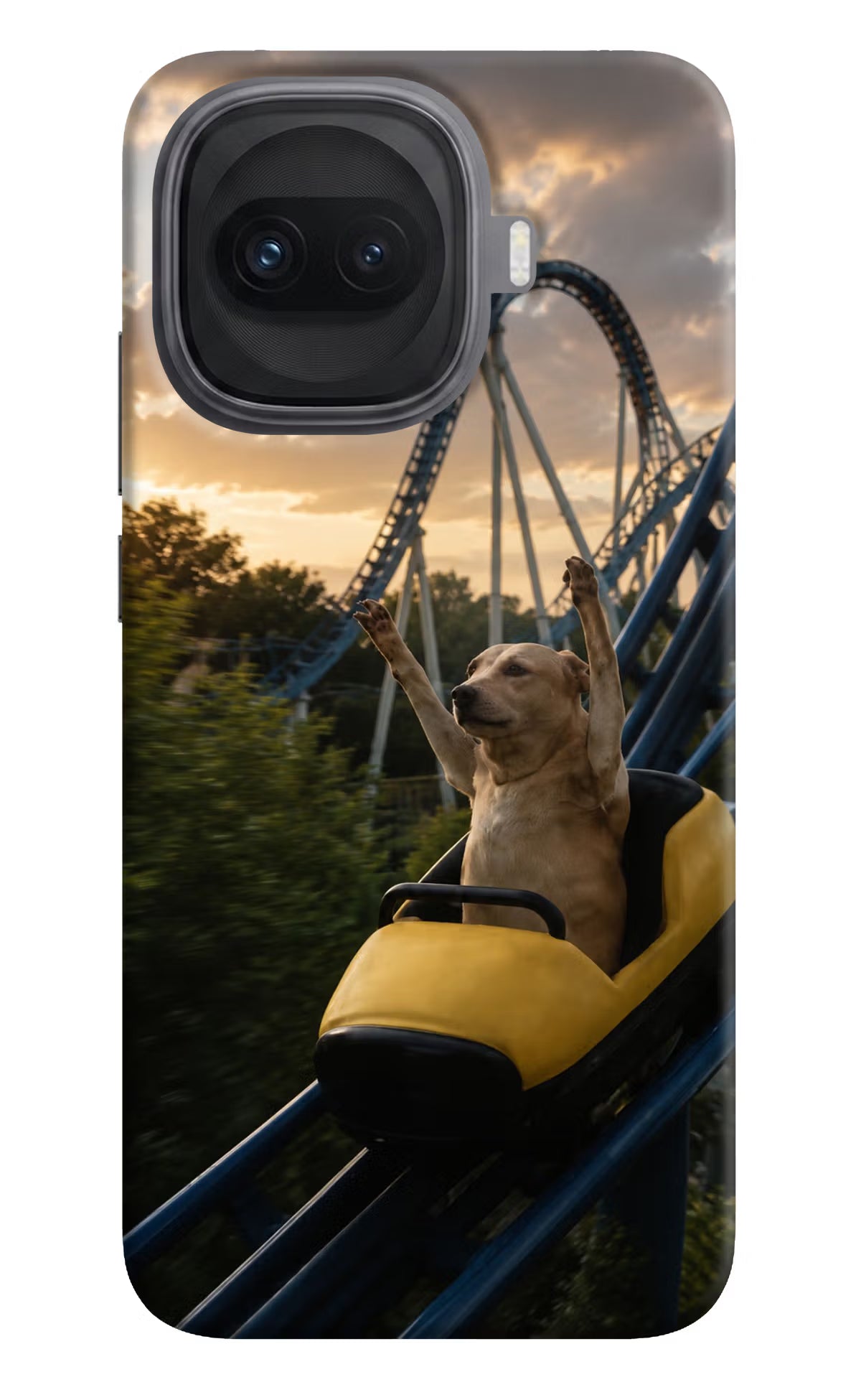 Rollercoaster Dog iQOO 15R 5G Back Cover