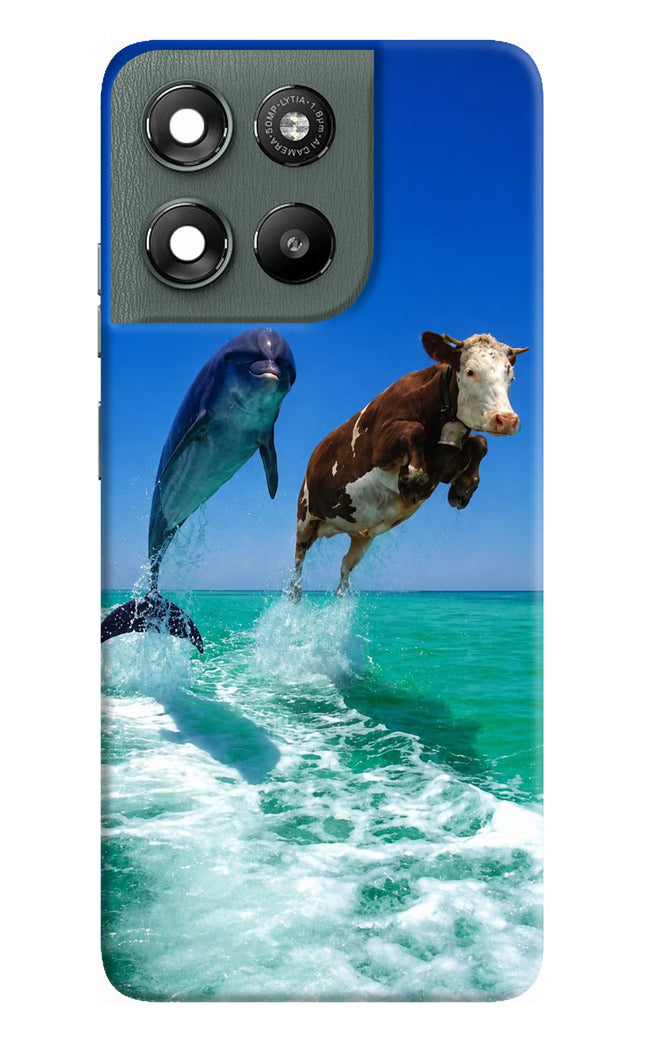 Dolphin vs Cow Moto G67 Power 5G Hard Case Back Cover by Casekaro