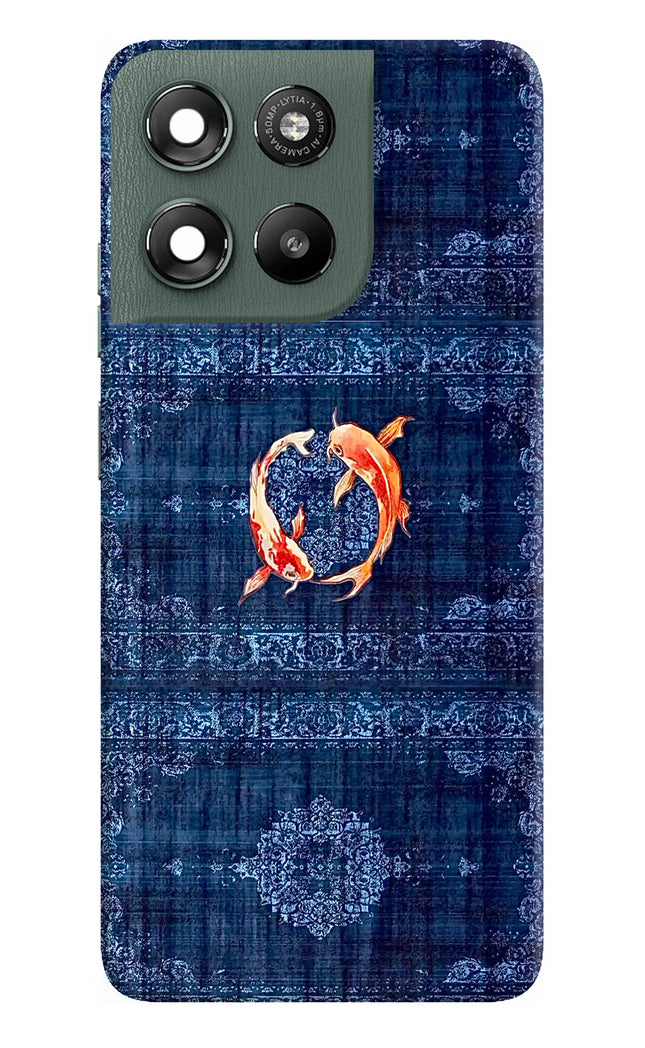 Koi Blue Moto G67 Power 5G Hard Case Back Cover by Casekaro