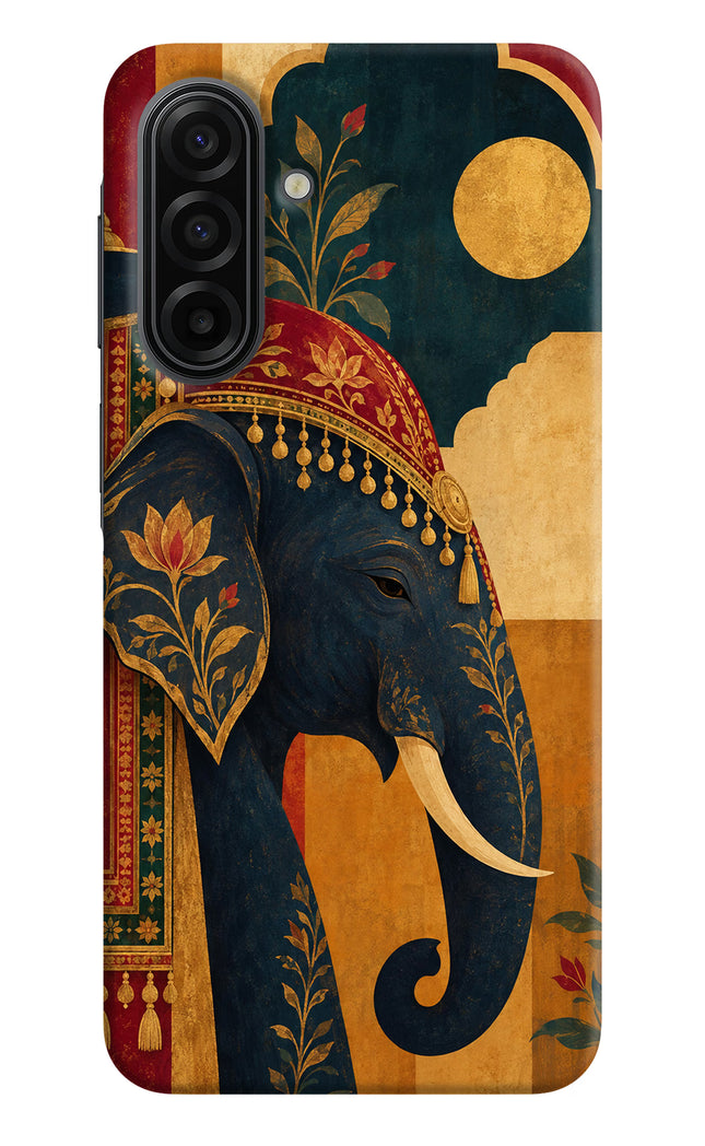 Royal Elephant Samsung F17 5G Hard Case Back Cover by Casekaro