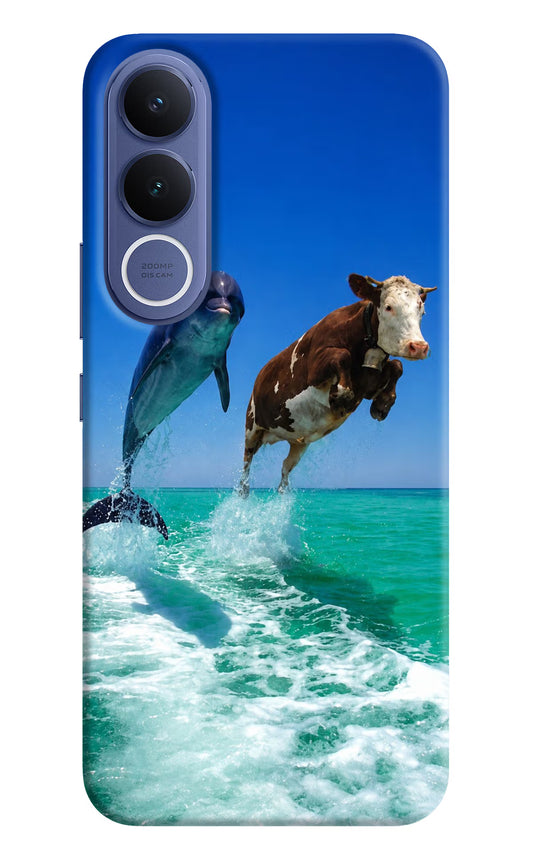 Dolphin vs Cow Vivo V70 FE 5G Hard Case Back Cover by Casekaro