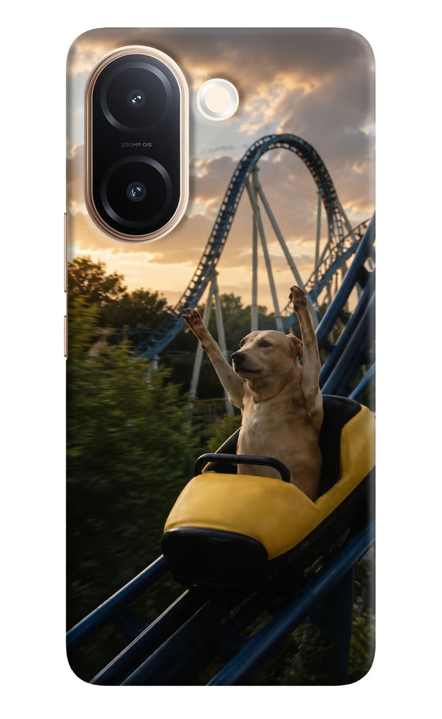Rollercoaster Dog Vivo V60e 5G Back Cover, Hard case