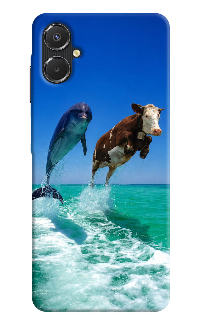 Dolphin vs Cow Samsung A06 5G Hard Case Back Cover by Casekaro