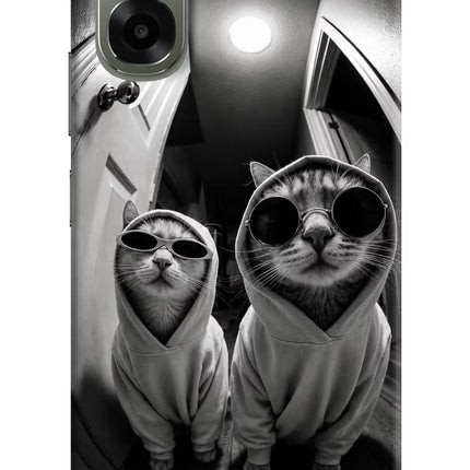 Hood Cats Oppo A6x 5G Hard Case Back Cover by Casekaro