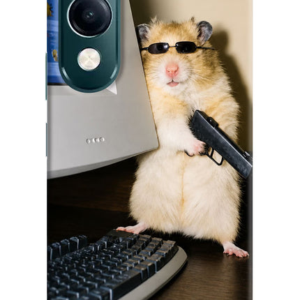 Hacker Hamster iQOO Z10 Lite 5G Hard Case Back Cover by Casekaro
