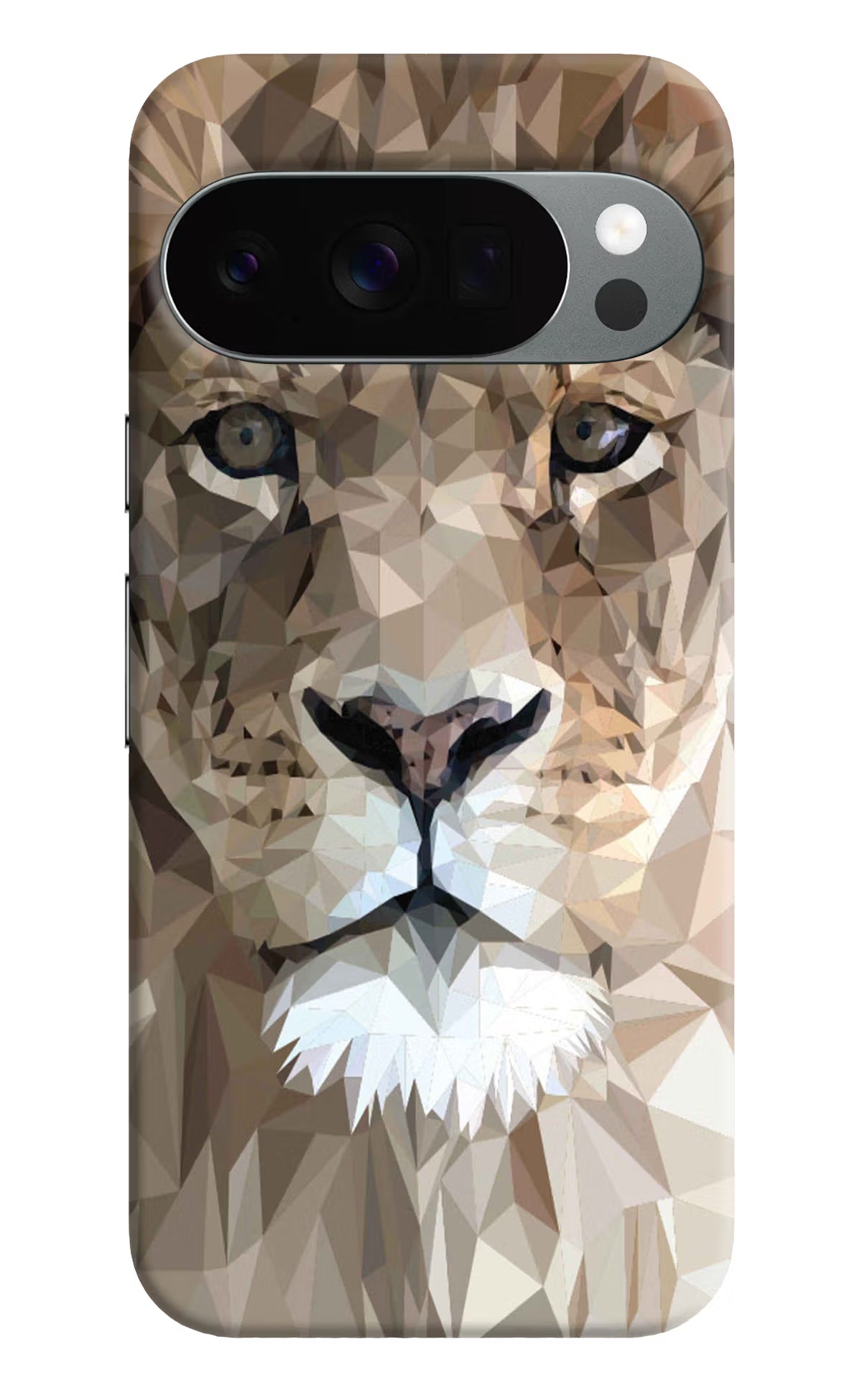 Lion Art Google Pixel 10 Pro Back Cover