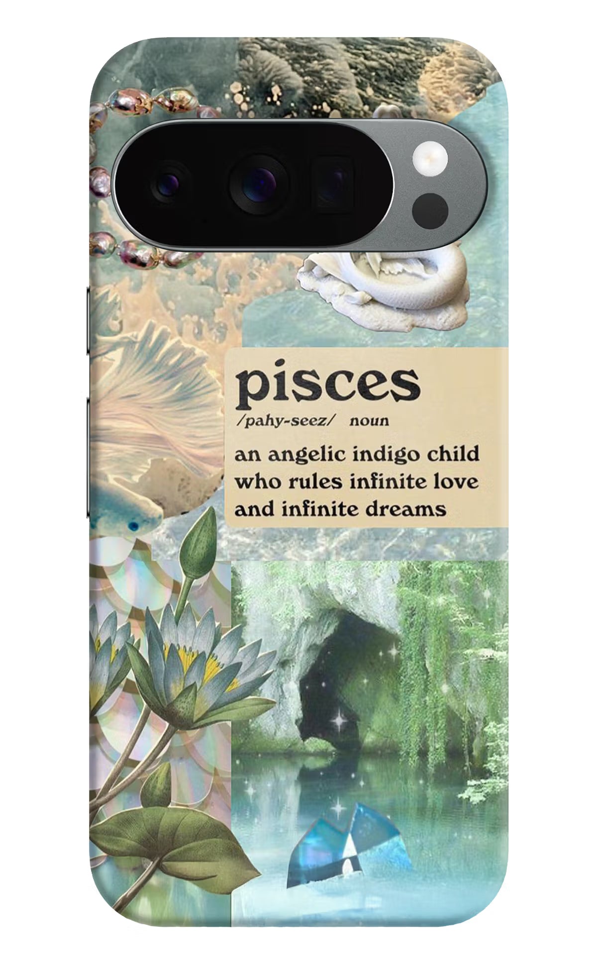 Pisces Zodiac Google Pixel 10 Pro Back Cover