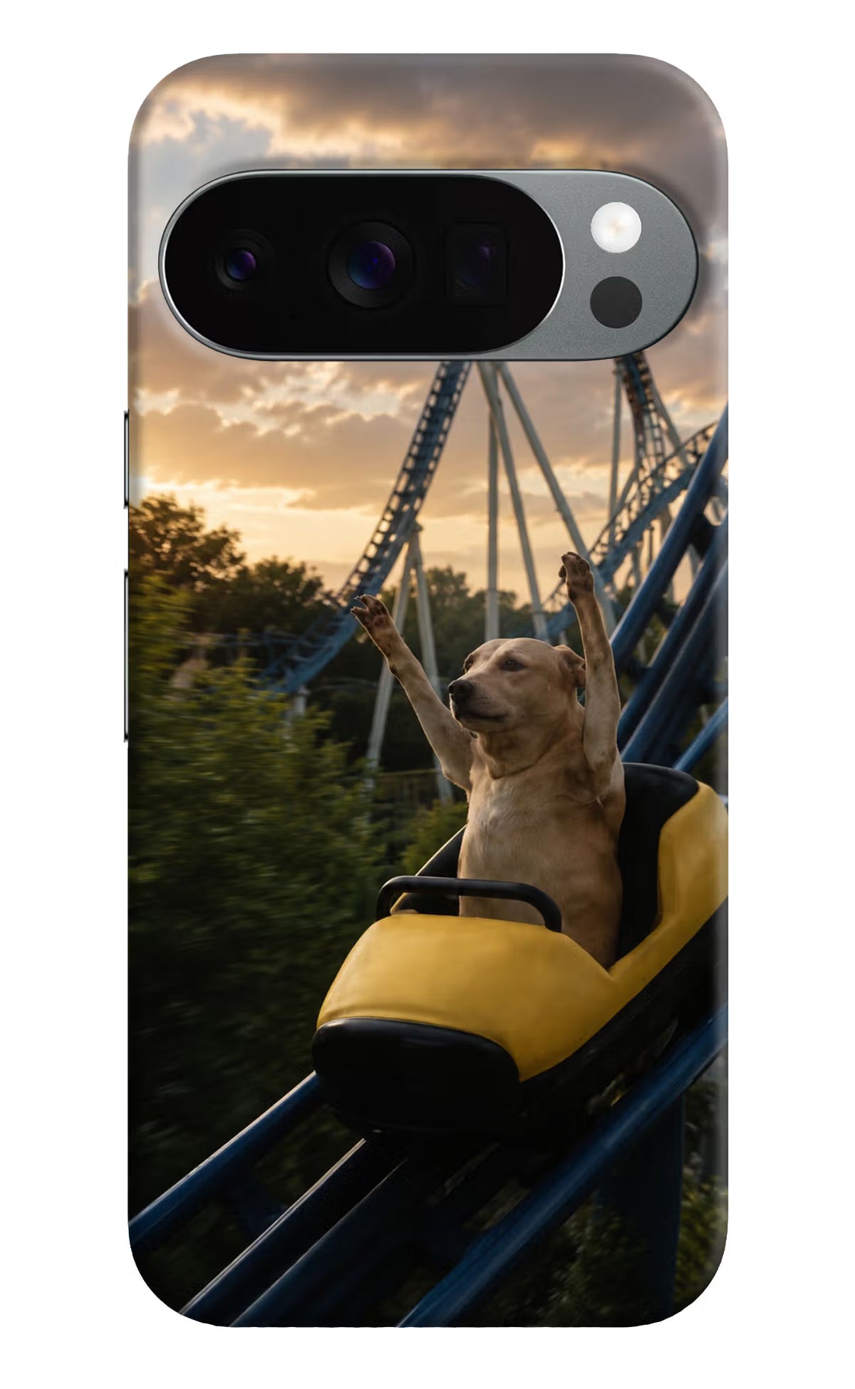 Rollercoaster Dog Google Pixel 10 Pro Back Cover
