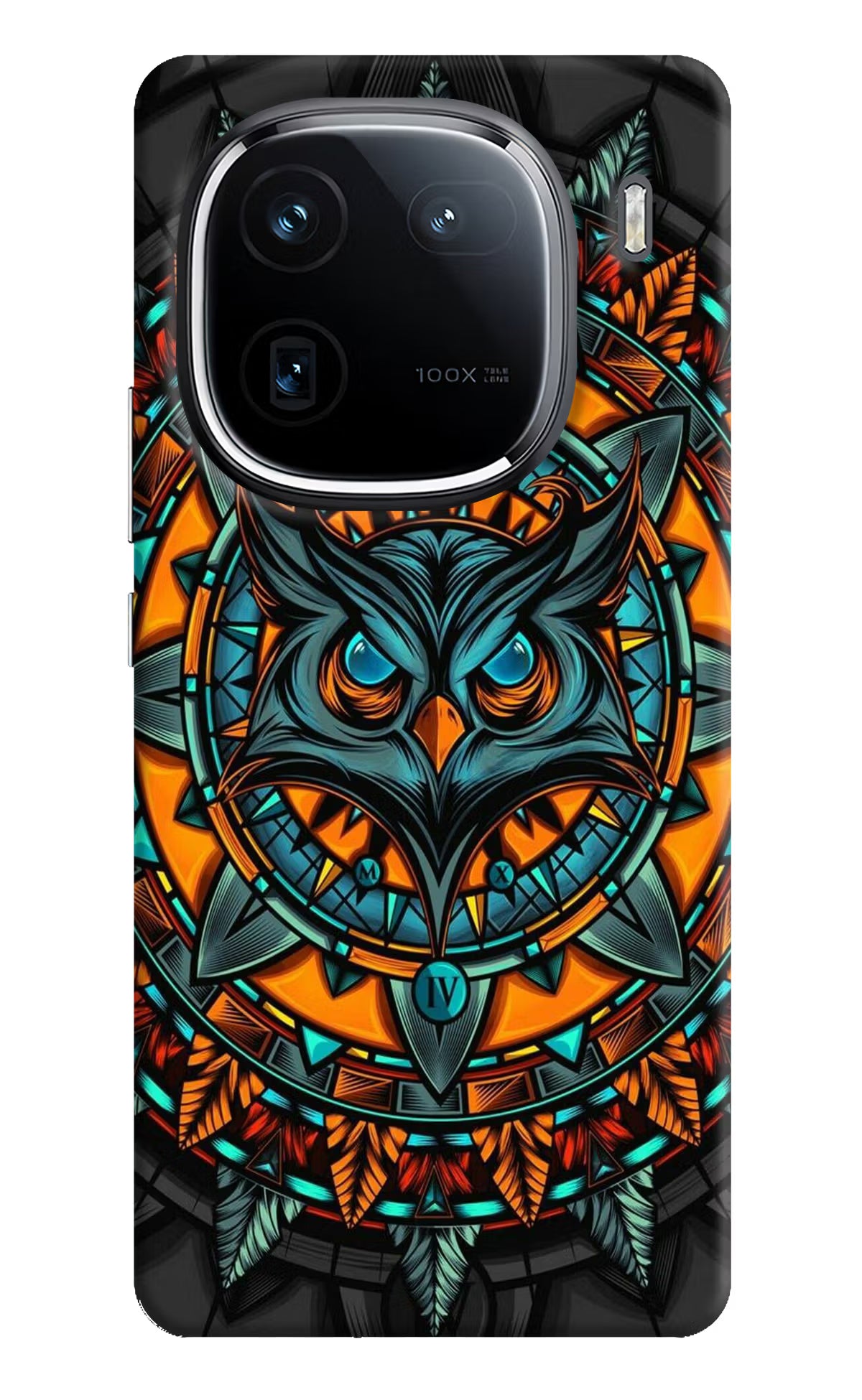Angry Owl Art iQOO 12 5G Back Cover