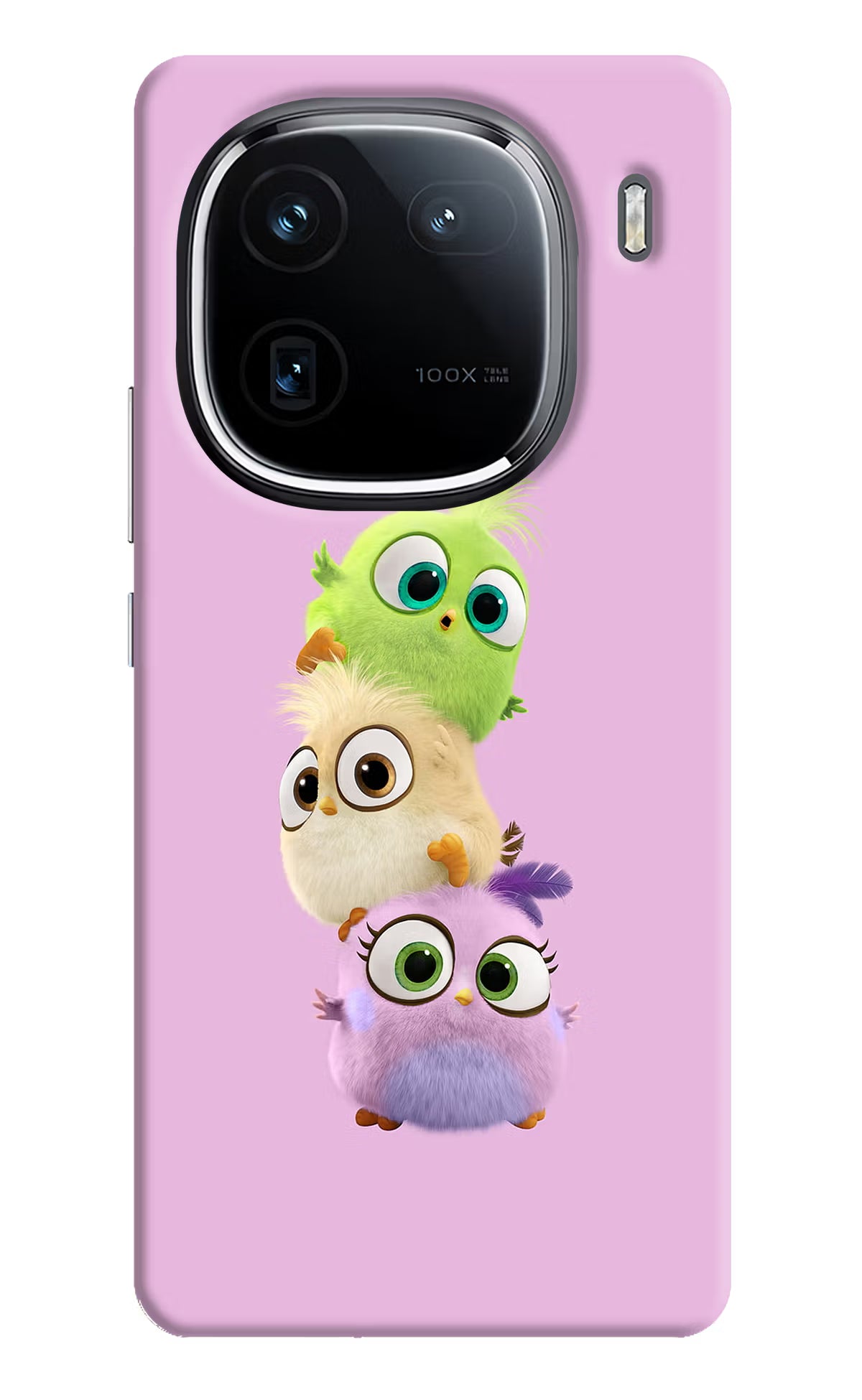 Cute Little Birds iQOO 12 5G Back Cover