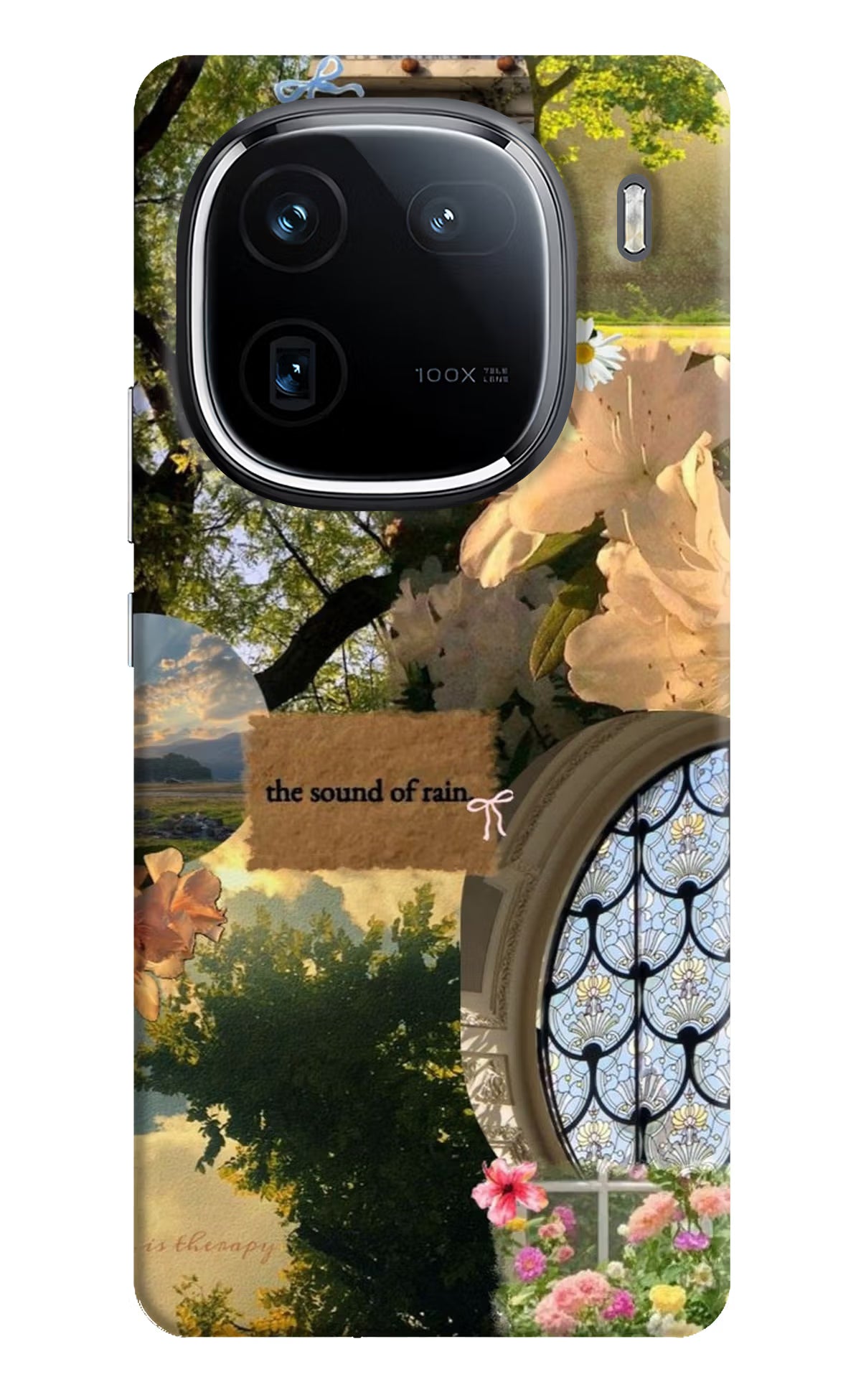 Rain iQOO 12 5G Back Cover