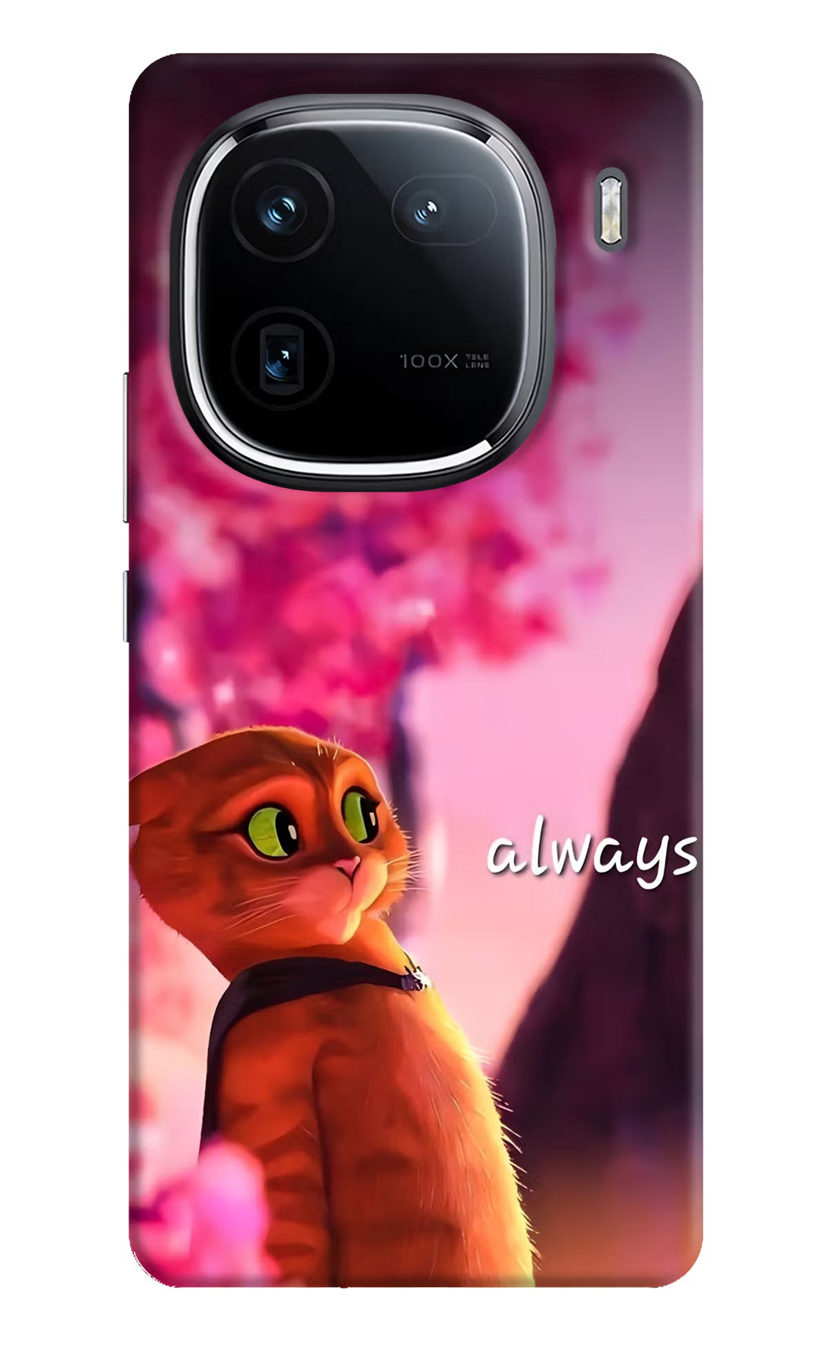 Always Cat iQOO 12 5G Back Cover
