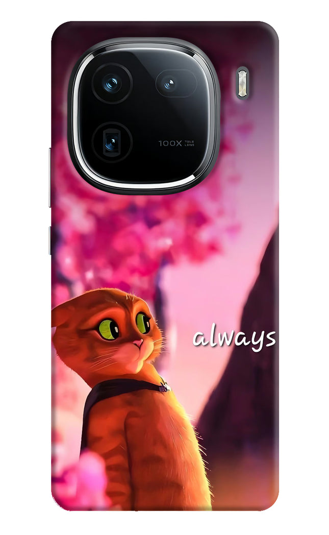 Always Cat iQOO 12 5G Hard Case Back Cover by Casekaro