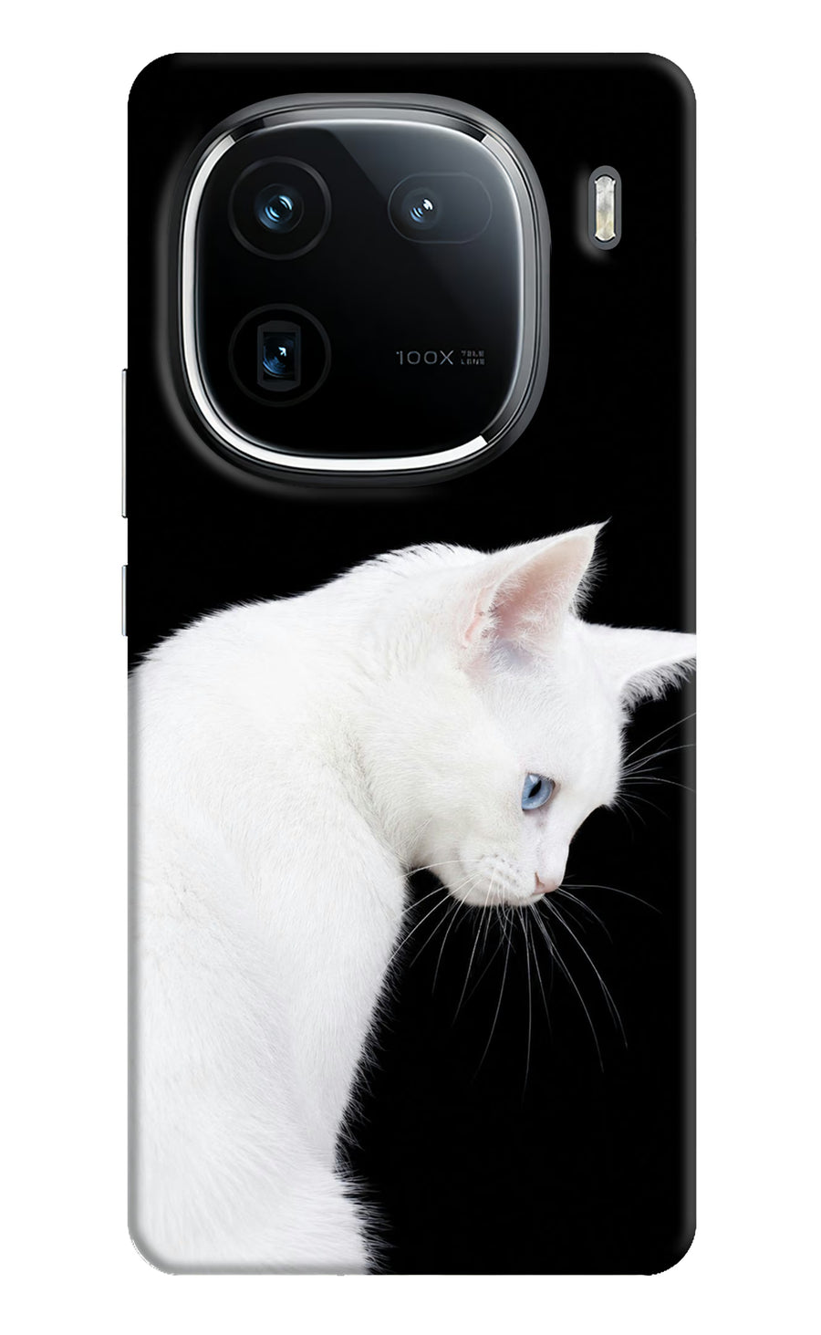 Snow Gaze iQOO 12 5G Back Cover, Hard case