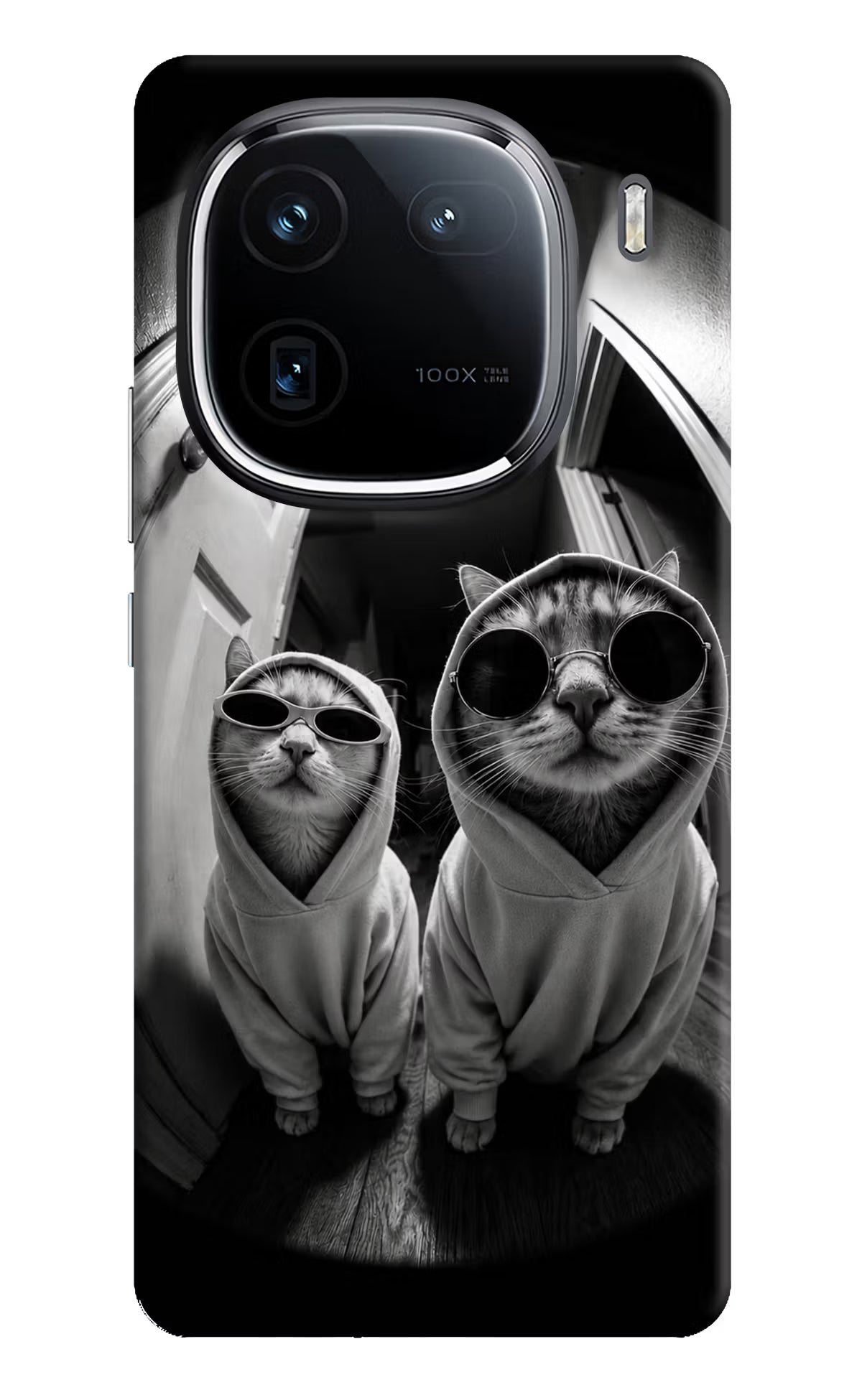 Hood Cats iQOO 12 5G Back Cover