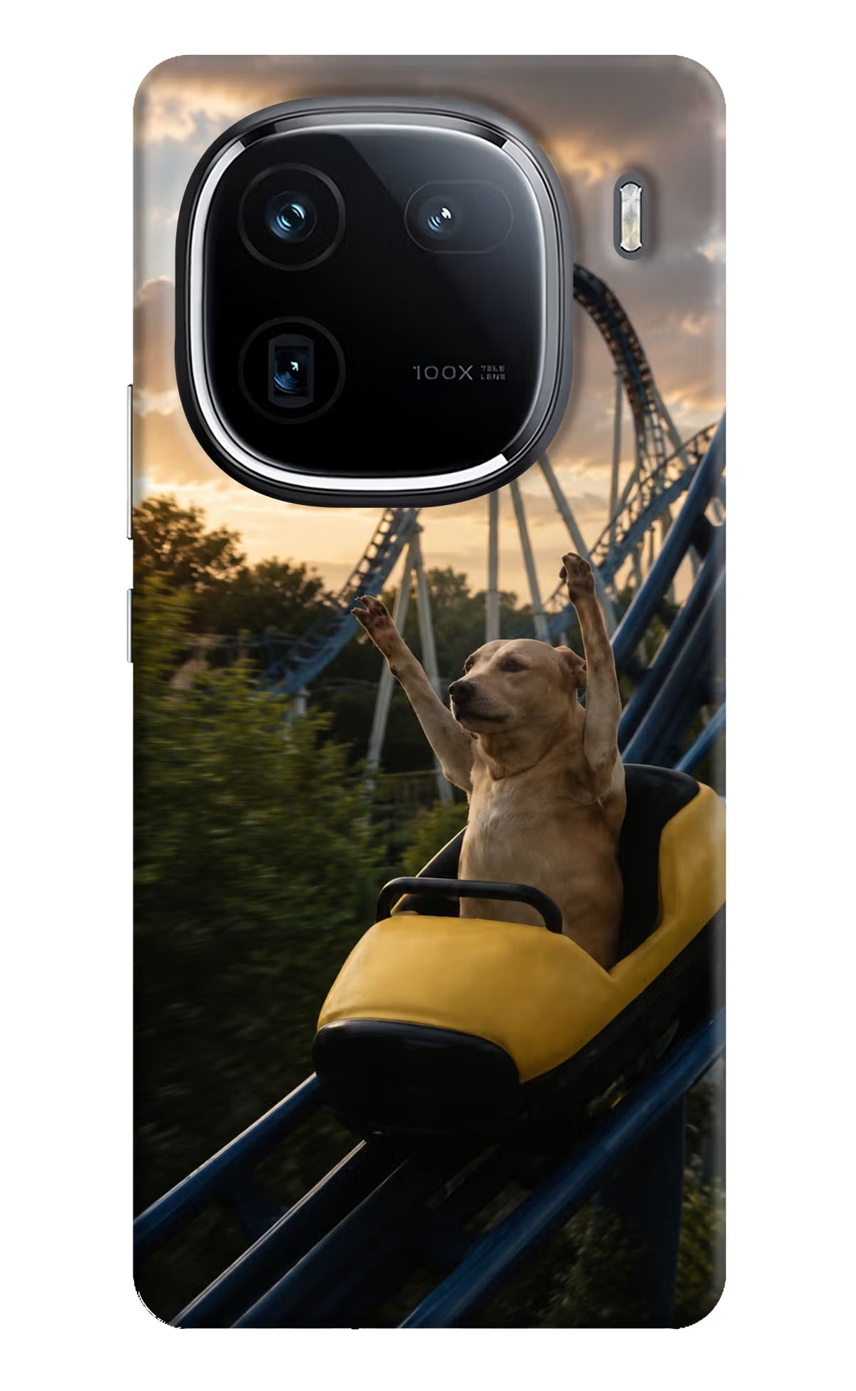 Rollercoaster Dog iQOO 12 5G Back Cover